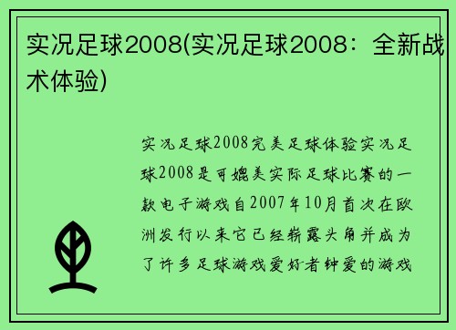 实况足球2008(实况足球2008：全新战术体验)